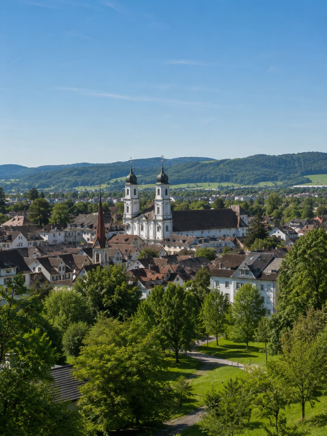 Immobilien Muri